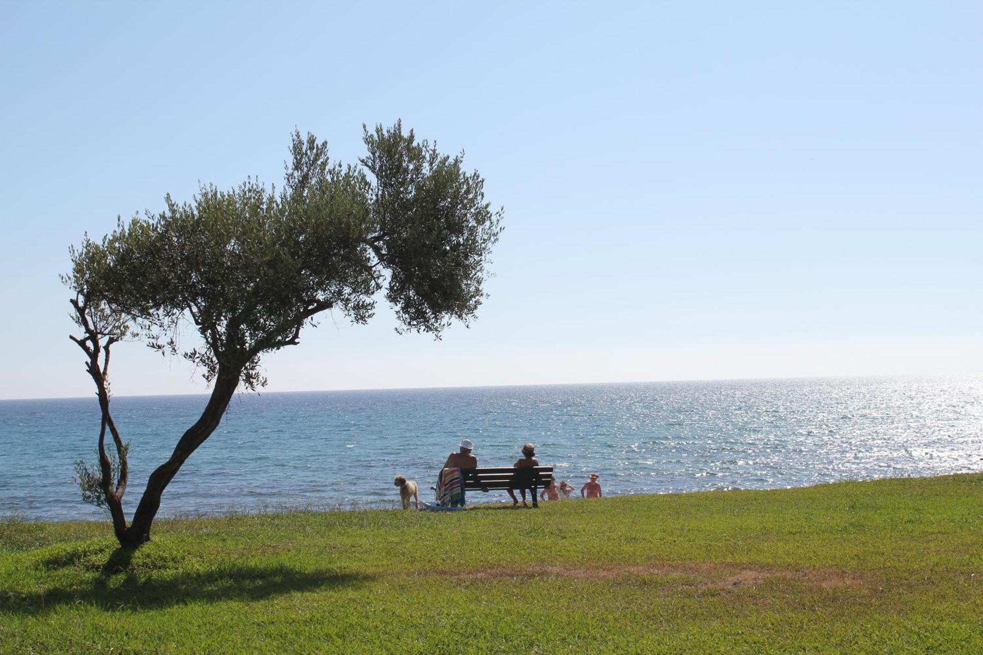 Orizonte Ξενοδοχείο Cervione Εξωτερικό φωτογραφία